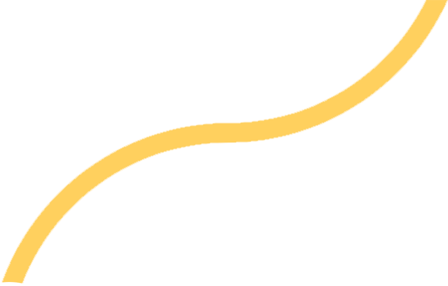 Fractional CFO Services