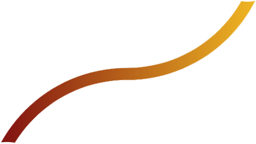 Fractional CFO Services
