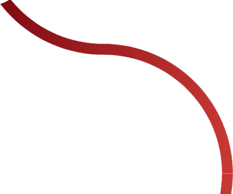 Fractional CFO Services